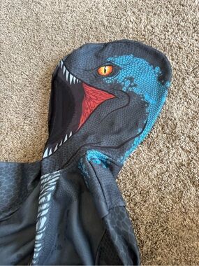 Boys Hooded Sweatshirt with Blue Dino Face from Jurassic World Graphic